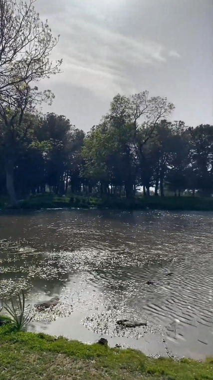 تخييم 🏕️ التحدي لشهر رمضان 🌙 الفضيل