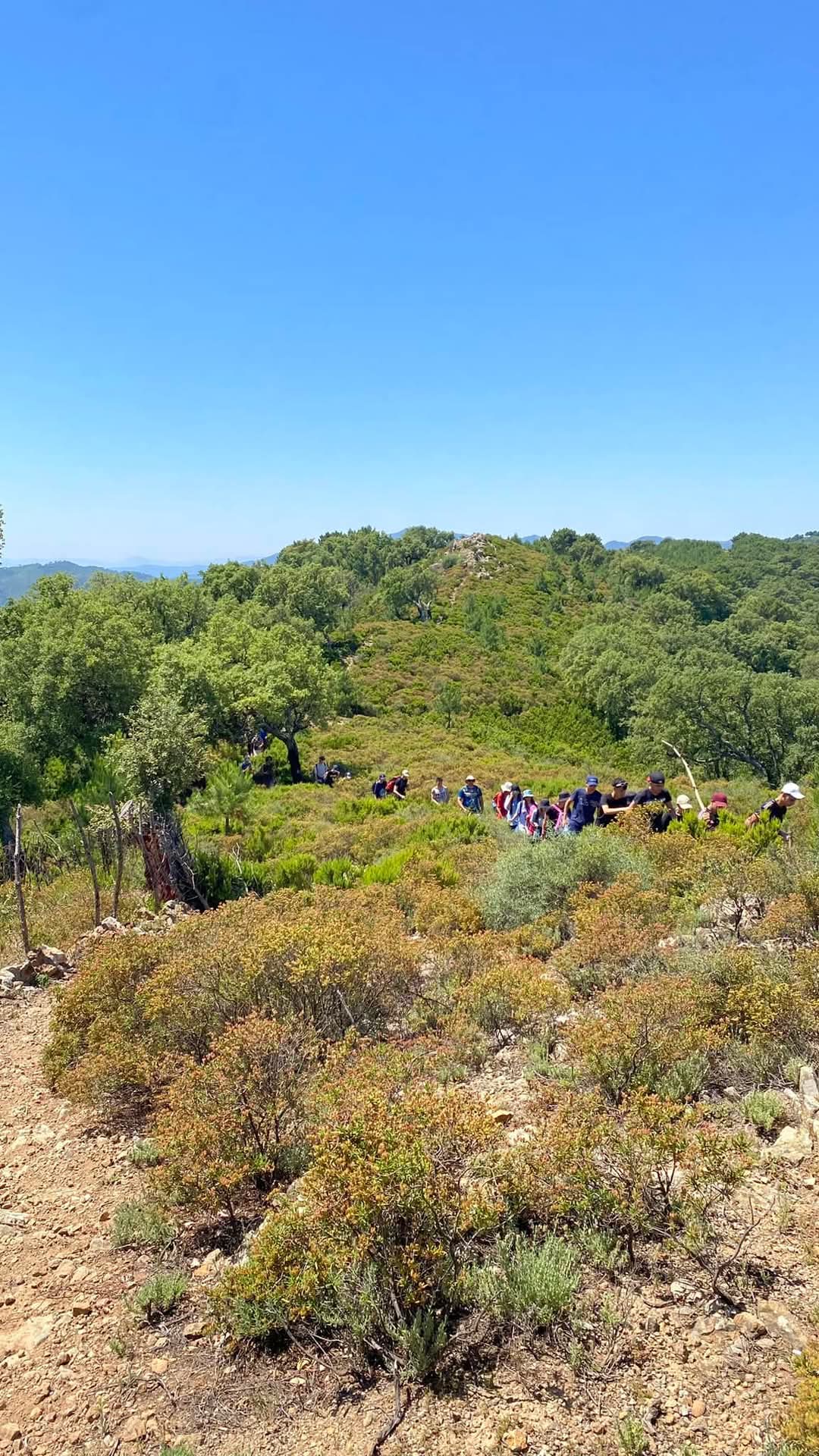 Photo des membres de l'association en plein forêt pour la découverte de notre écosystème