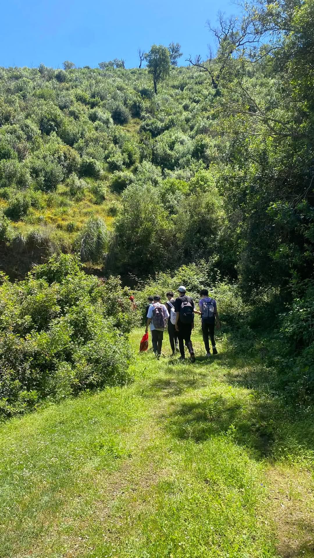 Photo des jeunes de l'association en plein forêt