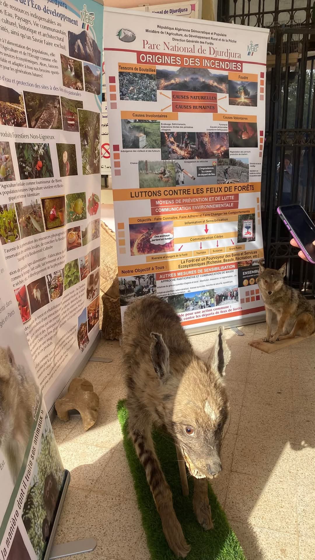 Photo d'une exposition de sensibilisation sur le recyclage et la protection de l'environnement